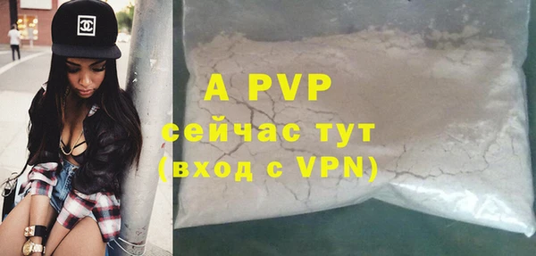 шишки Арсеньев
