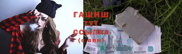 шишки Арсеньев