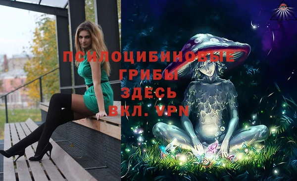шишки Арсеньев