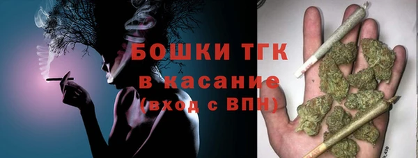шишки Арсеньев