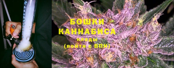 шишки Арсеньев