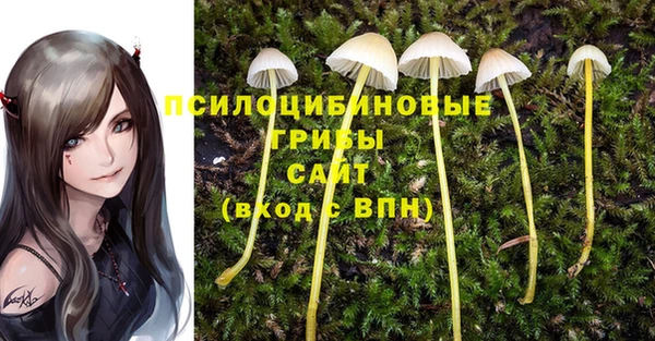 сатива Дмитров