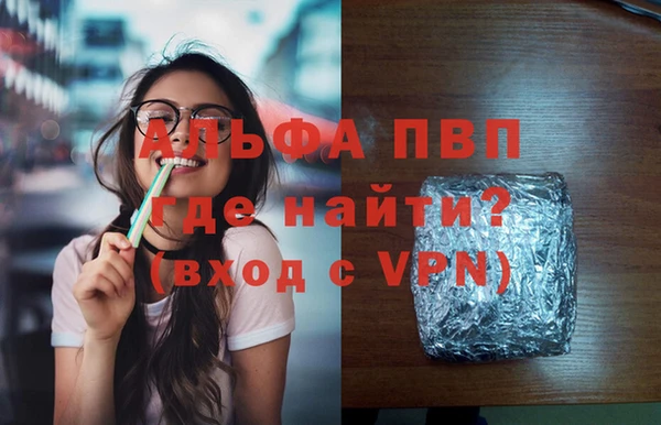 шишки Арсеньев