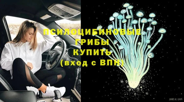 шишки Арсеньев